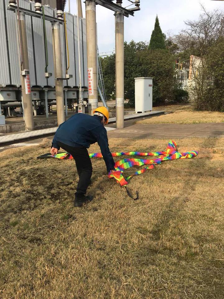 厲害了！風(fēng)箏飛進(jìn)變電站 激光儀遠(yuǎn)程擊落