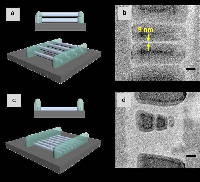 新加坡科技設(shè)計大學使用激光直寫技術(shù)打印10納米級懸空納米網(wǎng)格