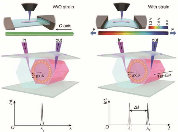 中國科學(xué)院單模激光輸出與動態(tài)調(diào)控研究獲進(jìn)展