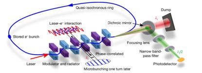 SSMB原理驗證實驗示意圖，儲存環(huán)周長為48米。（圖片來源：《自然》）