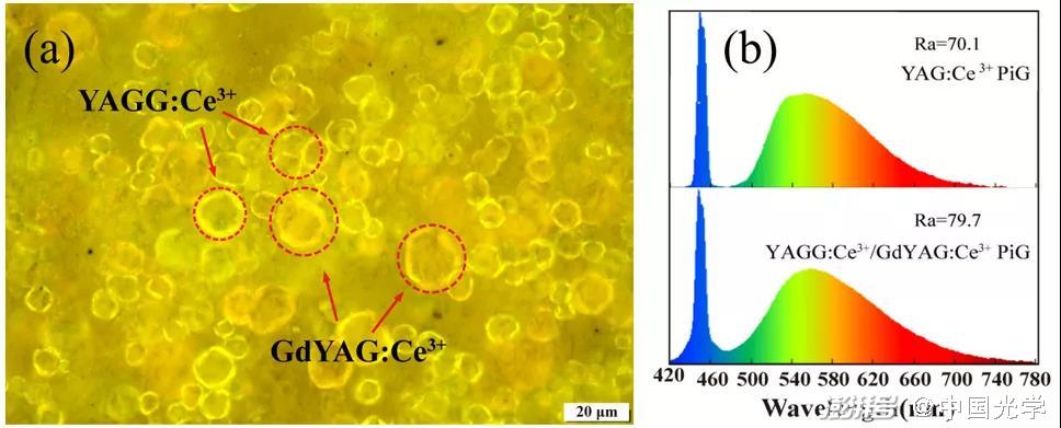 圖1：YAGG:Ce3?/GdYAG:Ce3?復(fù)合熒光玻璃的（a）微觀結(jié)構(gòu)及（b）與藍色激光組合的發(fā)射光譜