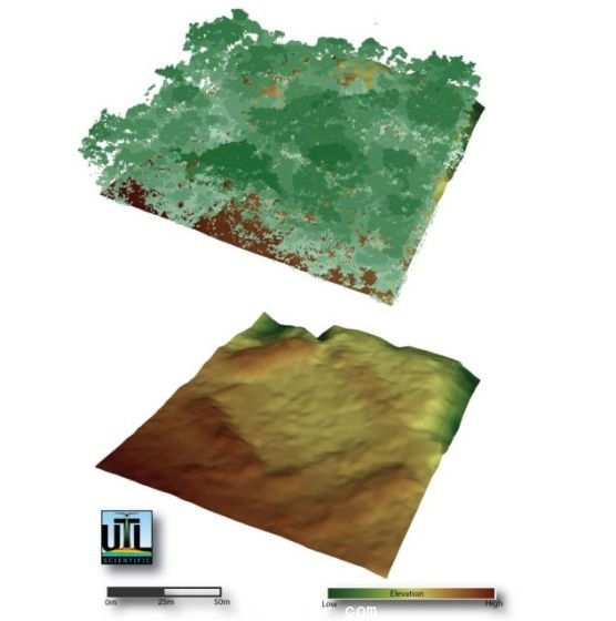 　上圖為研究人員繪制的林木線，下圖為&ldquo;看穿&rdquo;樹蔭后揭示的地面 